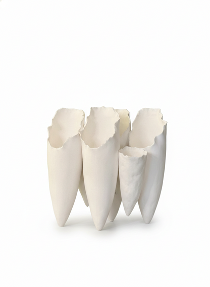 The Confluence Cluster Vase